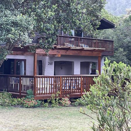 Forest Drive Holiday Home Natureʼs Valley Buitenkant foto