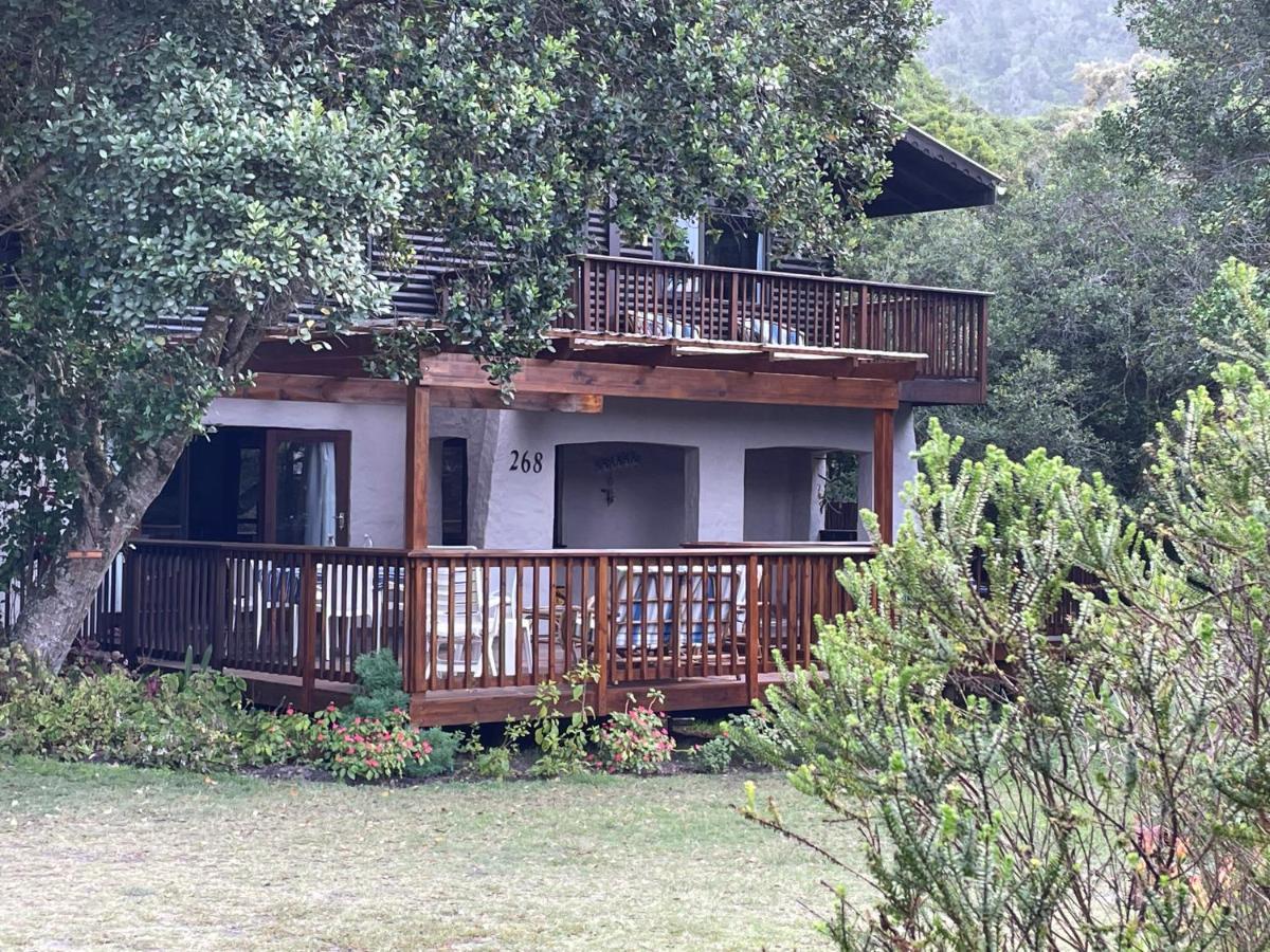 Forest Drive Holiday Home Natureʼs Valley Buitenkant foto